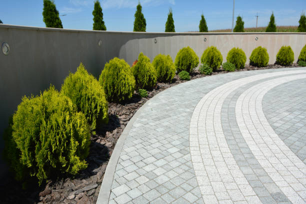 Best Permeable Paver Driveway  in Lake Cassidy, WA