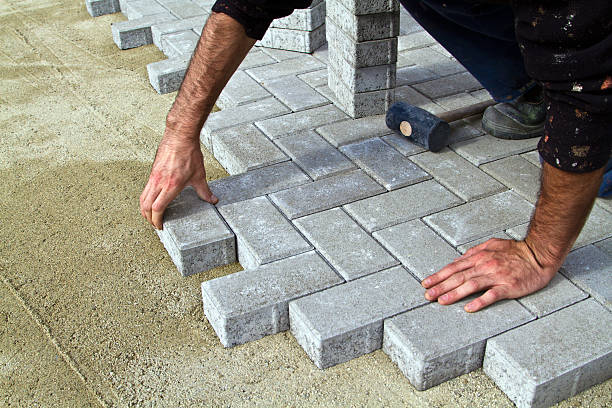 Best Driveway Pavers Near Me  in Lake Cassidy, WA